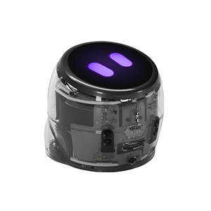 Ozobot Ari 