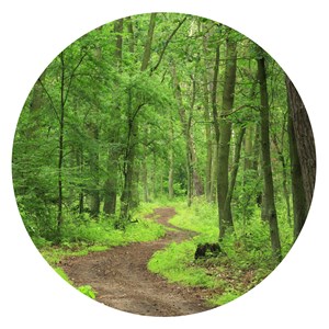 Akustiktavla ABA, lövskog Ø 80 cm
