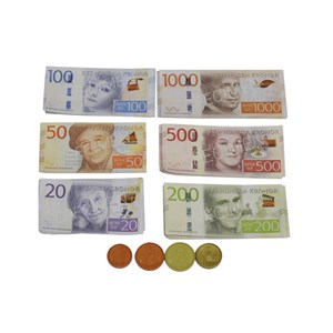 Mynter og sedler 100 deler
